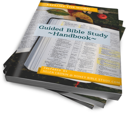 guided-bible-study-handbook